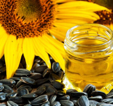 Why Cooking With Sunflower Oil is Beneficial